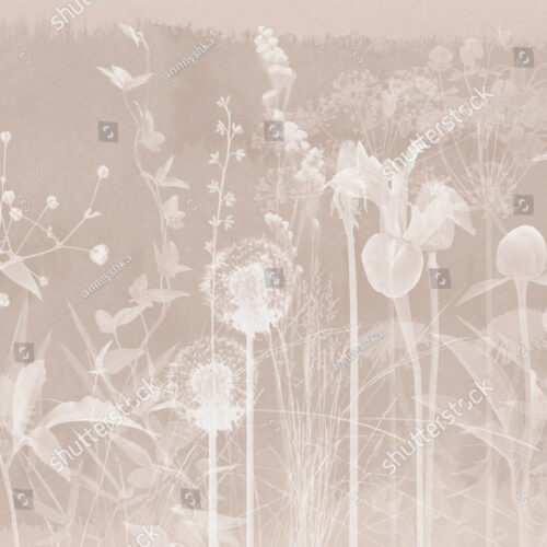 Фотообои_фрески_180