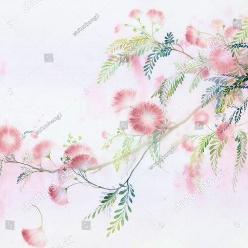 Фотообои_фрески_182