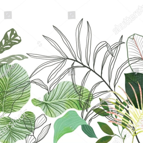 Фотообои_тропик_110